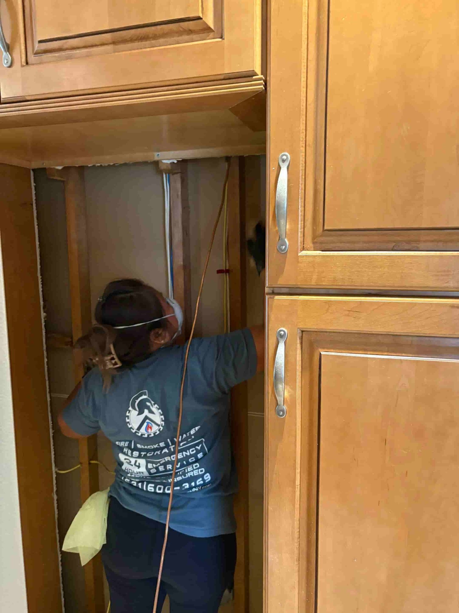 Mold Removal Services 