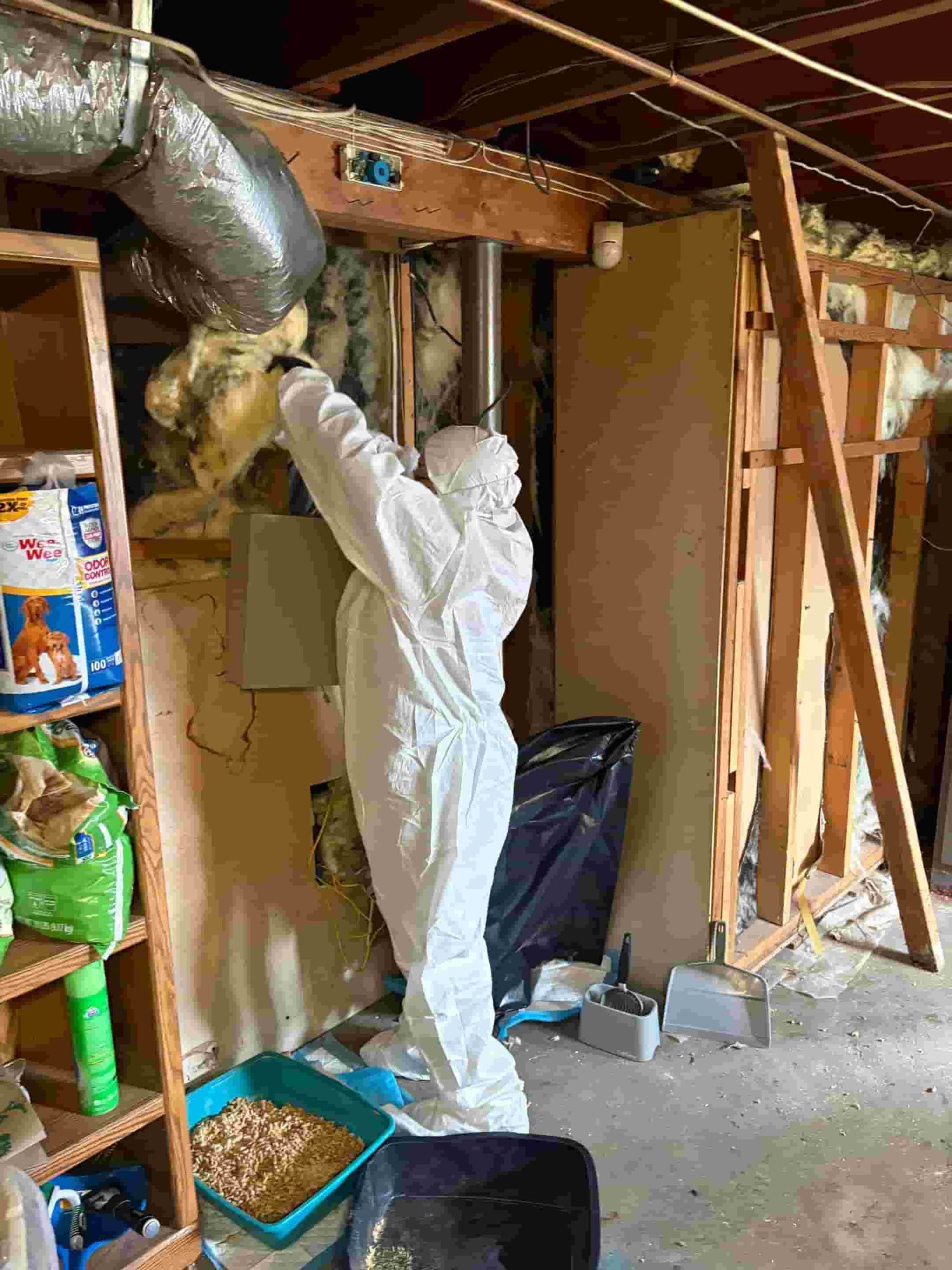 335-Oct 31 2025 06_12pm-p3Pz (1)