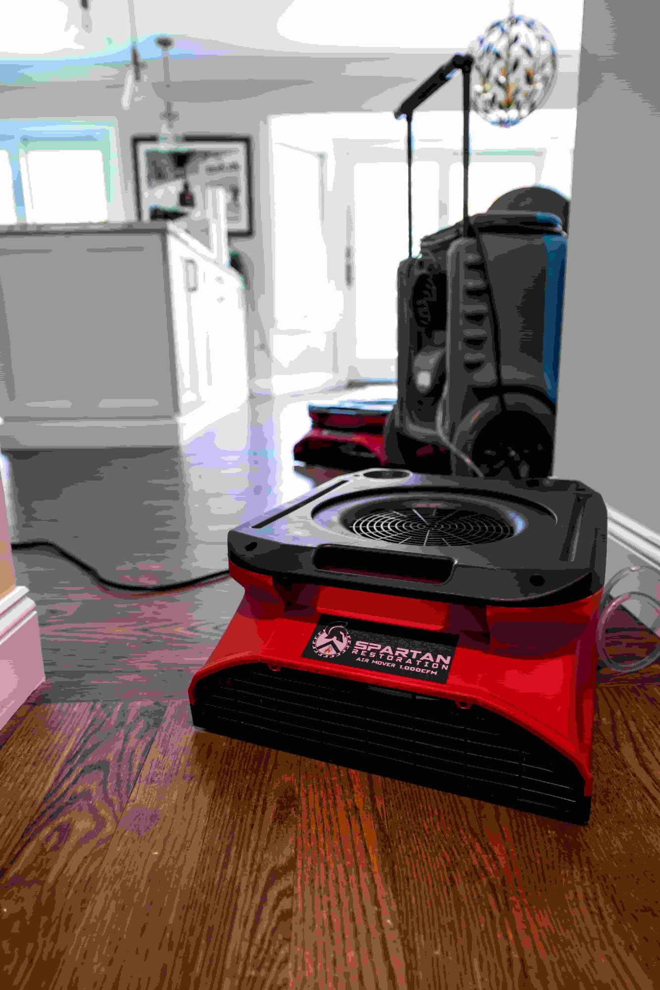 Odor Removal Services