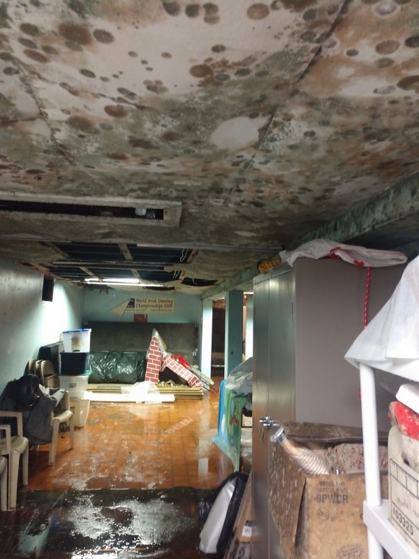 Home Interior with Mold Growth and Water