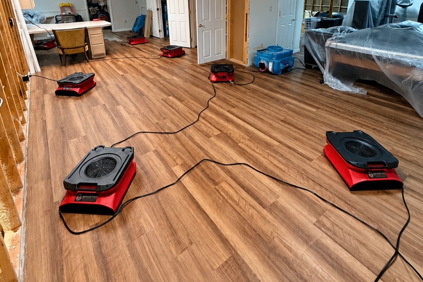 Water Damage Restoration: Why Professional Structural Drying Matters